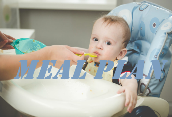 Meal Plan For 6 Month Old Baby | Baby Food Chart