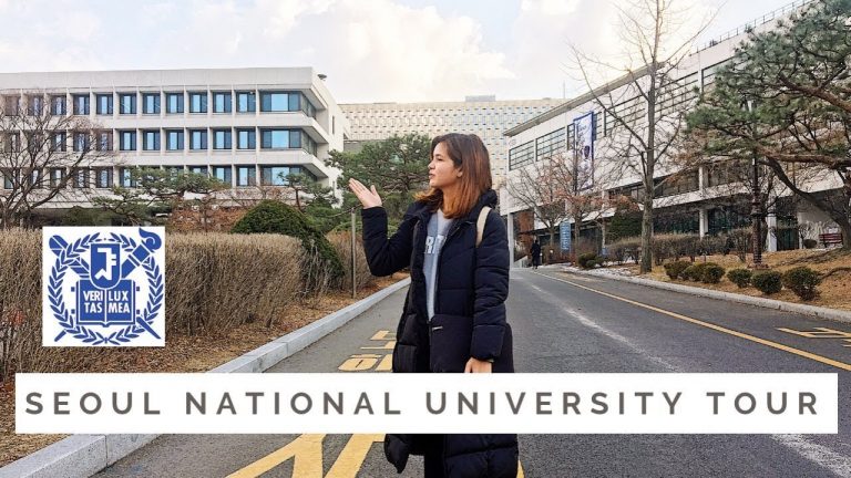 Seoul International Scholarship