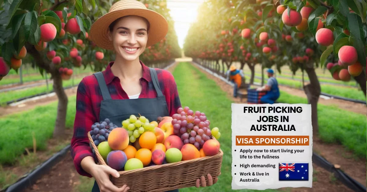 Fruit picking jobs in australia with visa sponsorship